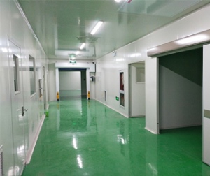 十万级91视频APP污软件车间